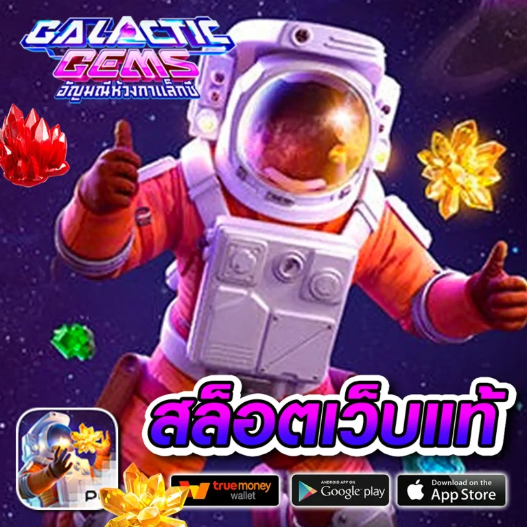 member namthip 88